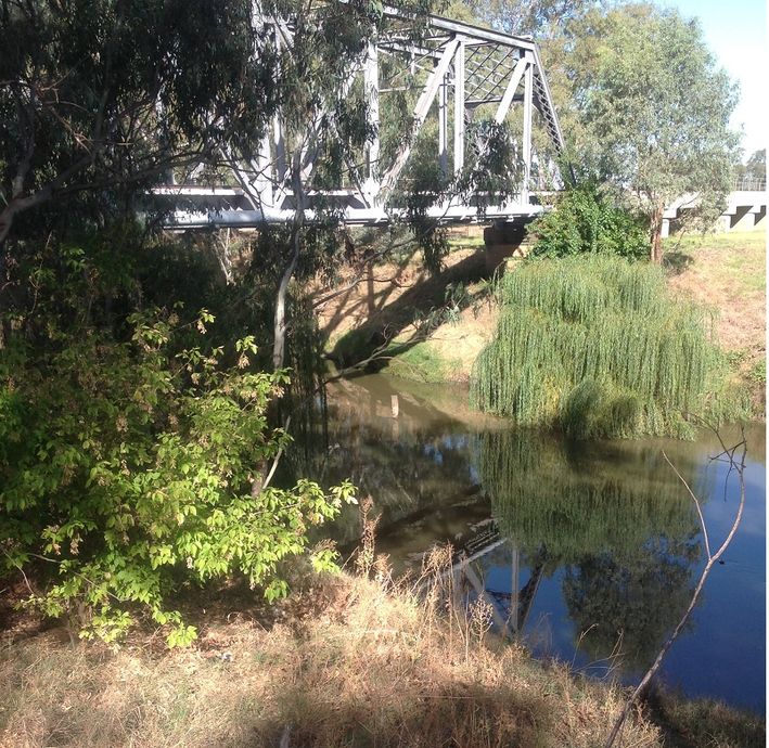 Lachlan river Forbes Rail bridge access point.jpg